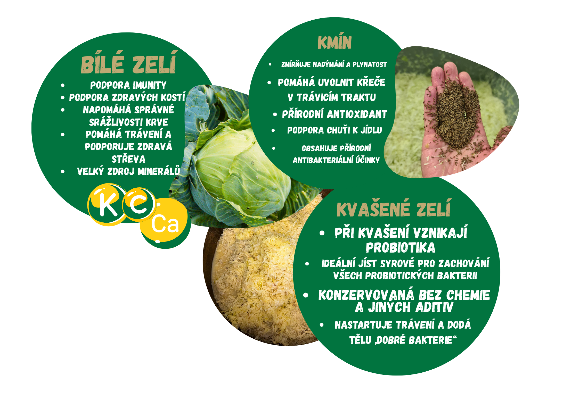 podporuje funkci štítné žlázy (1)